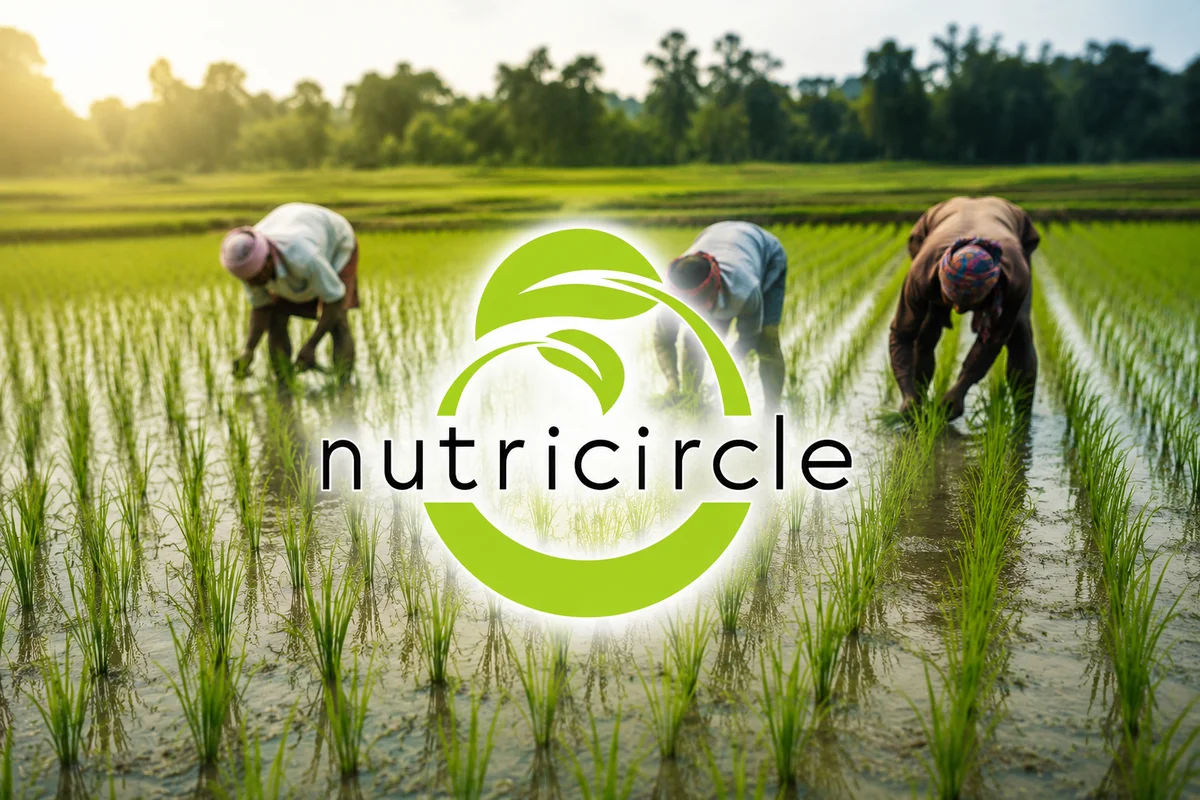 Nutricircle - stock market news illustration