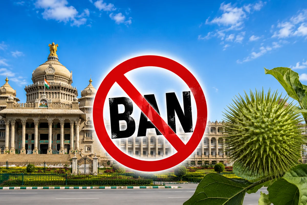 Karnataka Bans Datura ? Amazon, Swiggy Instamart & BigBasket Face Action Over Listings