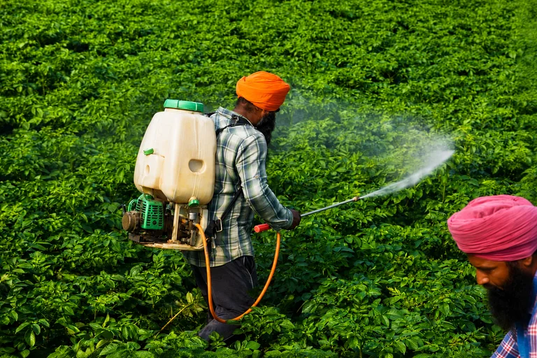Rallis India Q1 Profit Jumps 32% to ₹125 Crore as Crop Care, Seeds Business Drive Revenue Growth