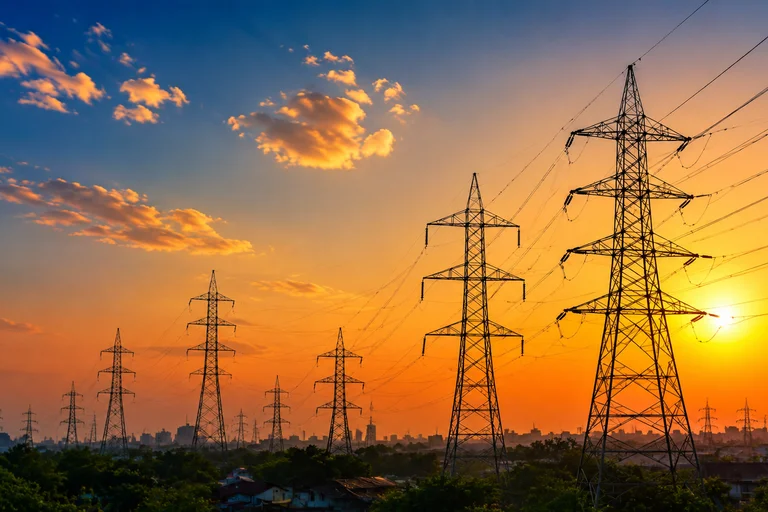 PSU power stocks fall after Morgan Stanley downgrade: What is behind the latest pressure?