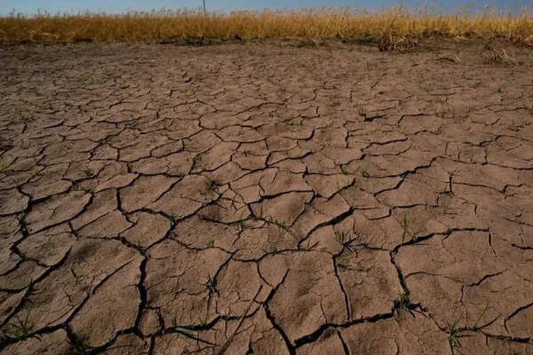 India Agricultural Growth May Near Zero on El Niño Risk